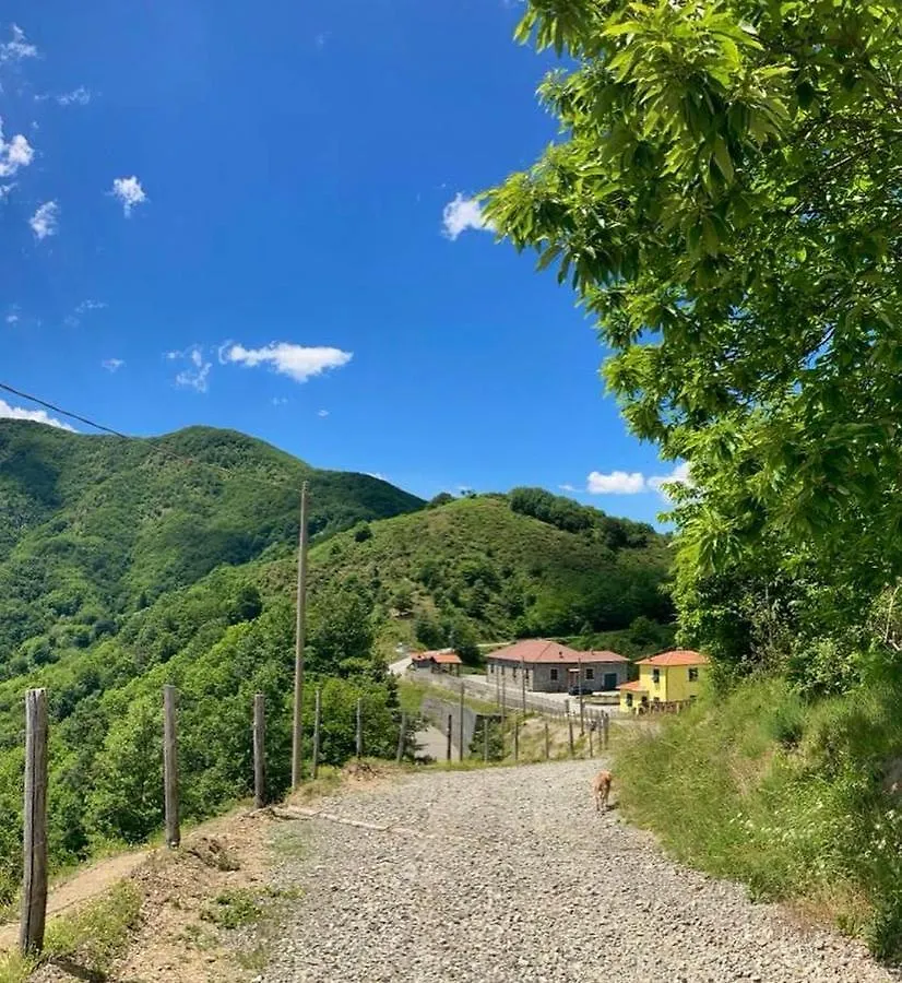 Colle Del Faggio Green Immersion House Cassego-Villa 0*,  Italia