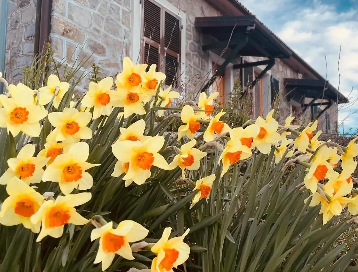 Colle Del Faggio Green Immersion House Cassego-Villa 0*,  Italy